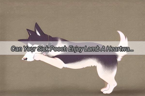 Can Your Sick Pooch Enjoy Lamb A Heartwarming Guide to Safe Treats